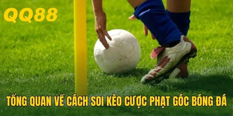 Tổng quan về cách soi kèo cược phạt góc bóng đá